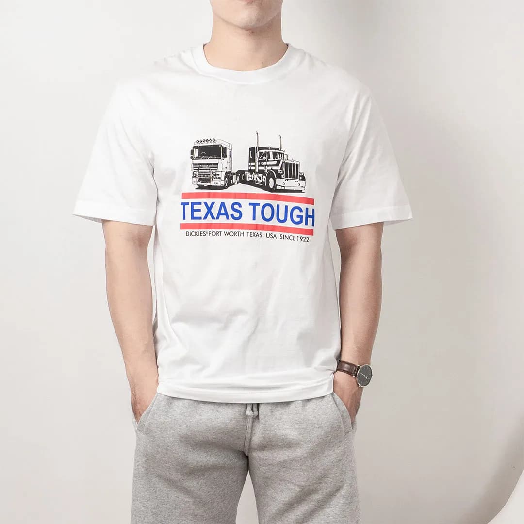 Kaos Dickies 1