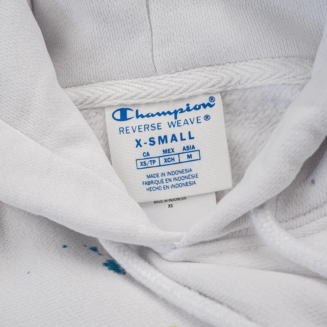 Hoodie Champion Heavyweight reverse weave 4